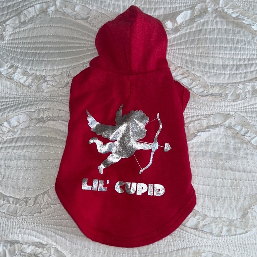 Valentines Day Doggy Sweater (6-8lb dog)